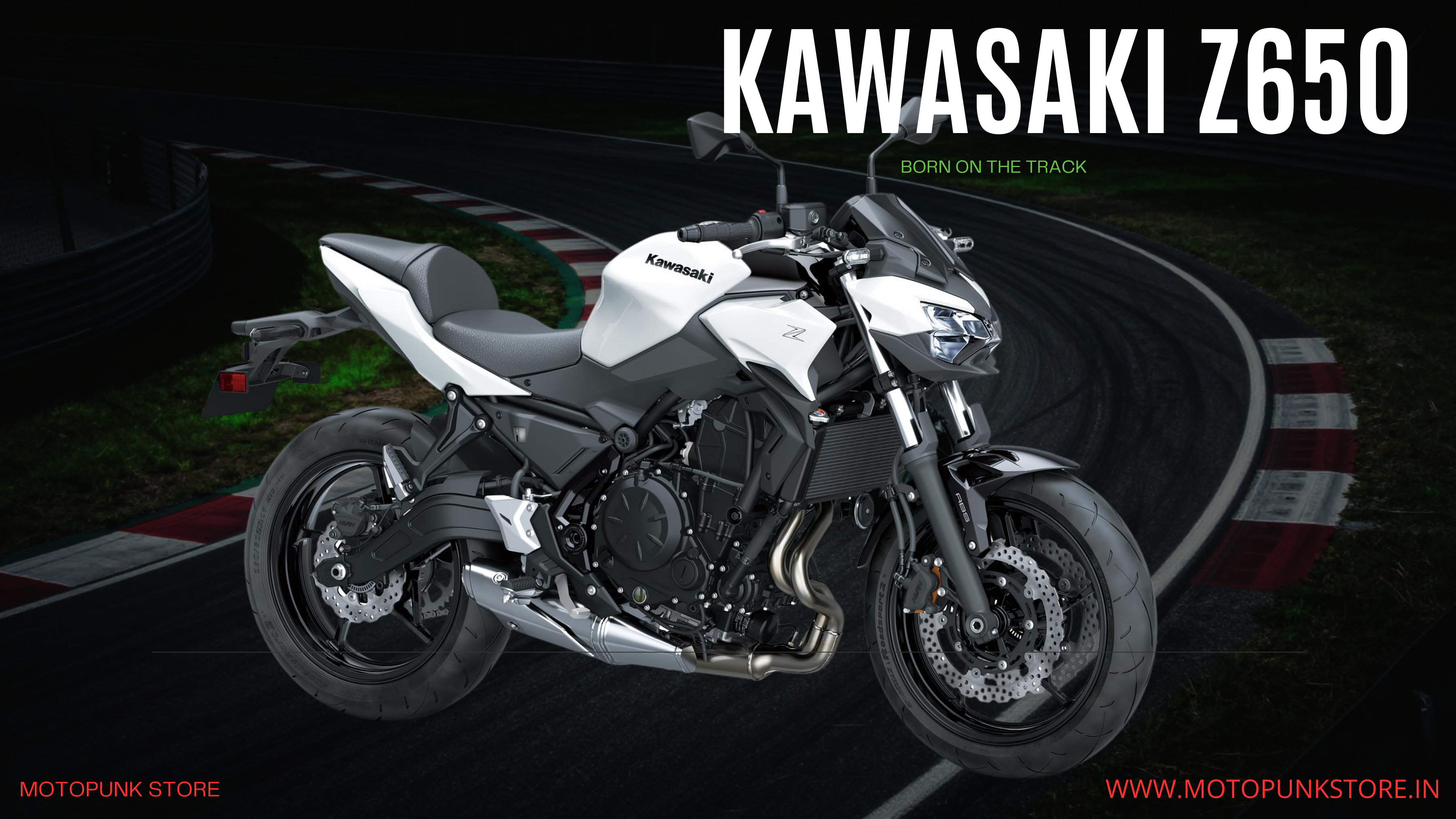 KAWASAKI Z650/ NINJA 650 – MotoPunk