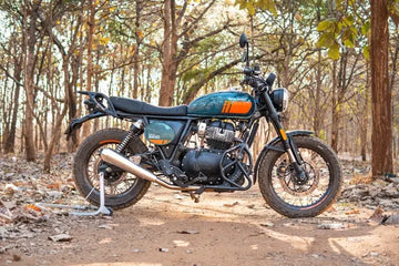 BEAR 650