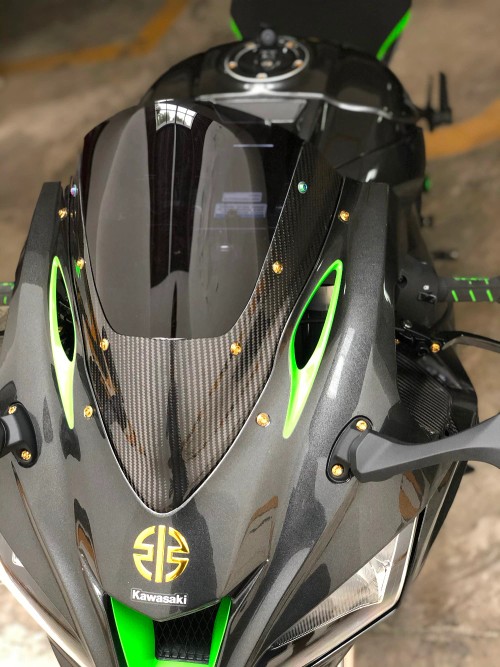 ZX10R CARBON VISOR